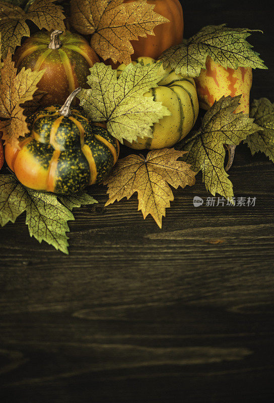 秋天和感恩节的装饰。南瓜和落叶。