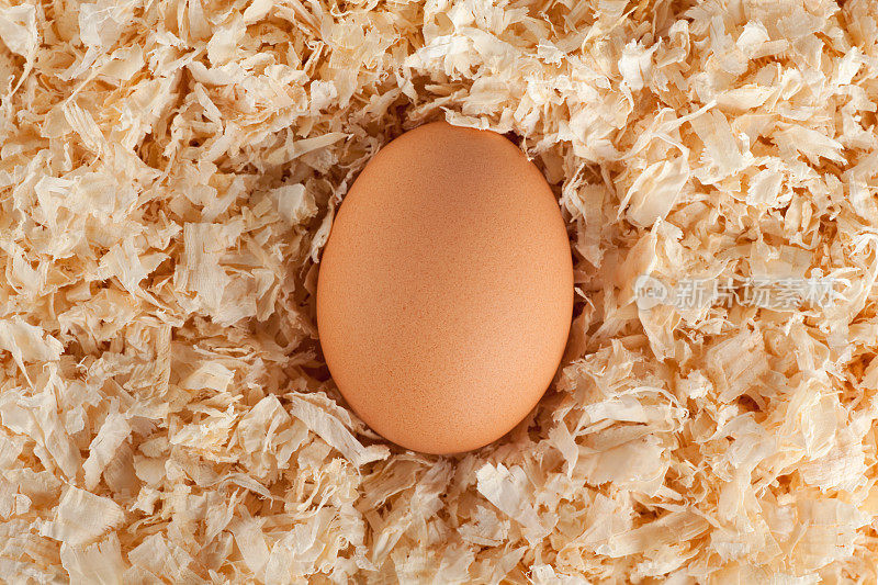 木屑鸡蛋