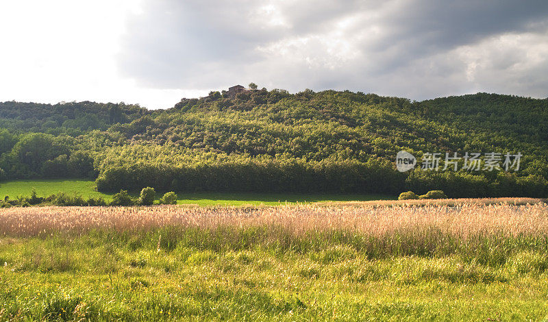 Montcortès