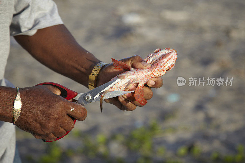 渔夫清洁鱼