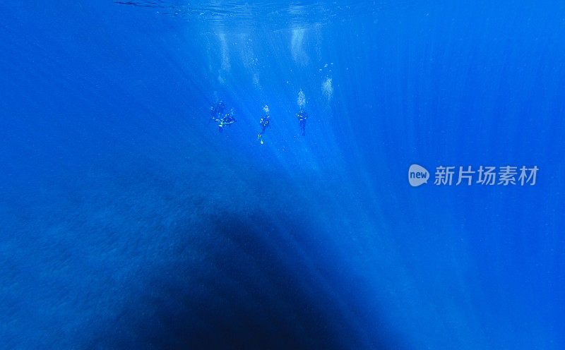 博拉博拉岛一群水肺潜水员