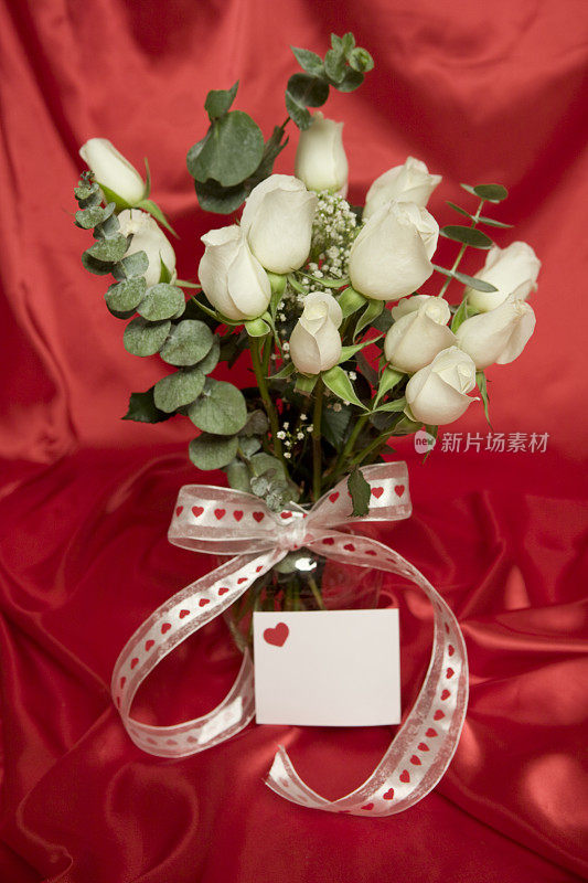 情人节的白玫瑰安排