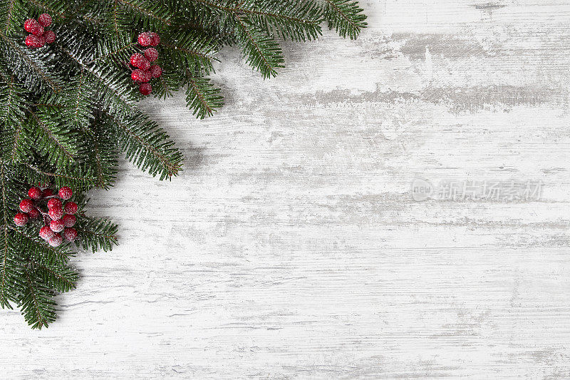 用冷杉树和冬青浆果装饰圣诞节