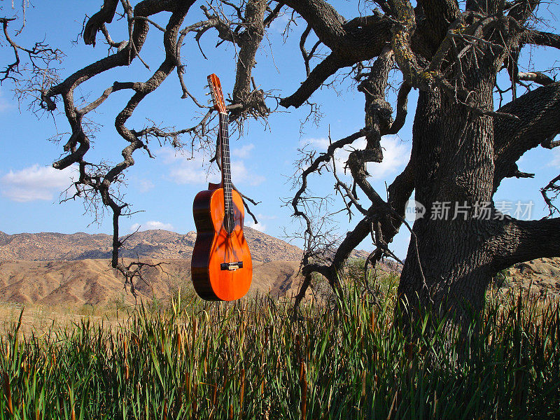 古董古典吉他浮动树猫尾巴加利福尼亚