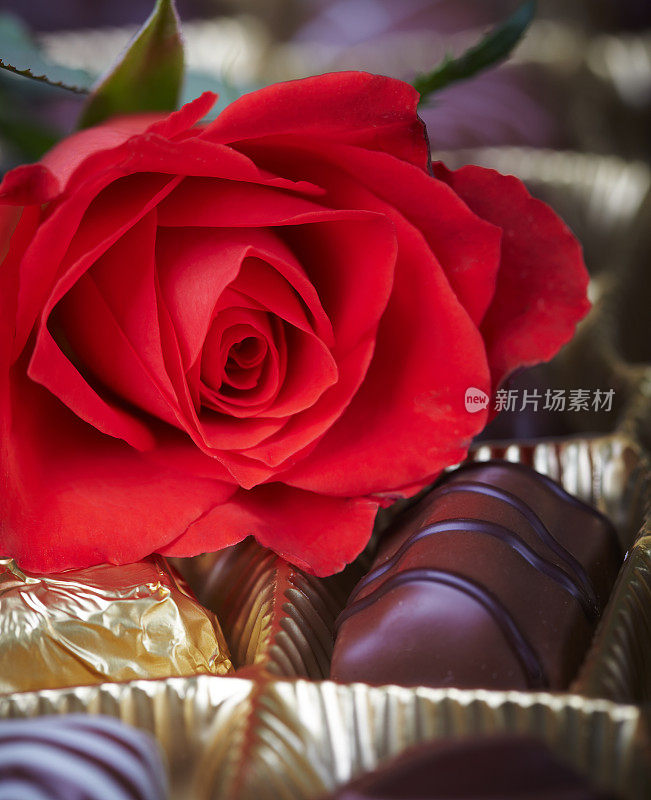 巧克力和红玫瑰