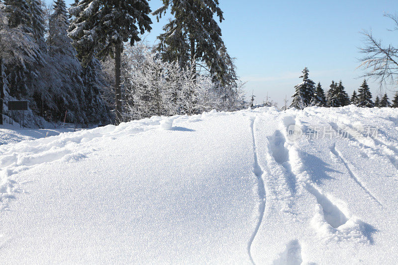 以雪为背景的冬季景观