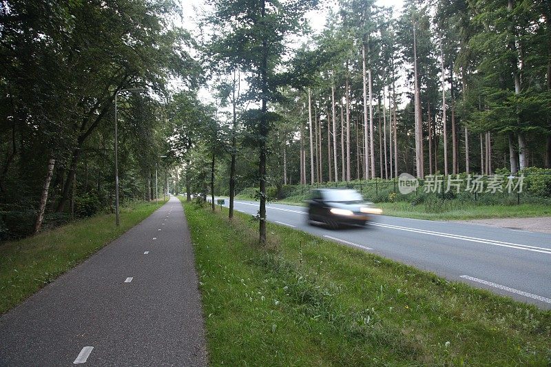 森林乡村公路车辆速度交通