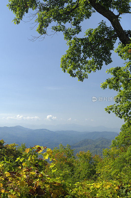 蓝岭公园路国家公园秋天风景，NC，美国