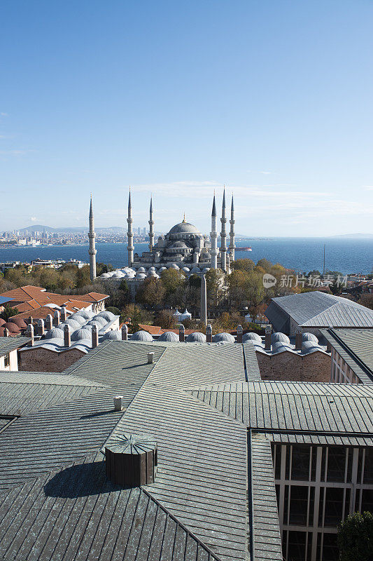 蓝色清真寺苏丹艾哈迈德卡米在土耳其伊斯坦布尔