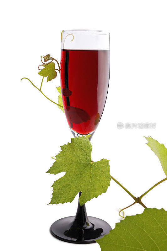 杯红酒和带叶子的葡萄枝