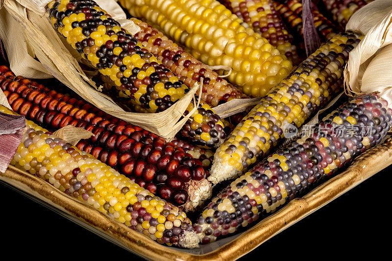 展示干的节日印第安玉米