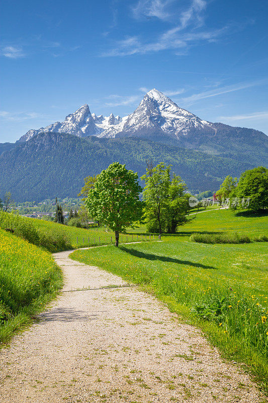 夏天，阿尔卑斯山的田园风光，徒步旅行的小径和绿色的草地
