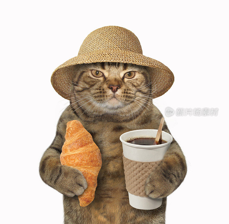 咖啡和羊角面包的猫