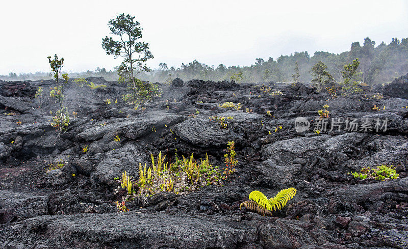 火山场，火山国家公园