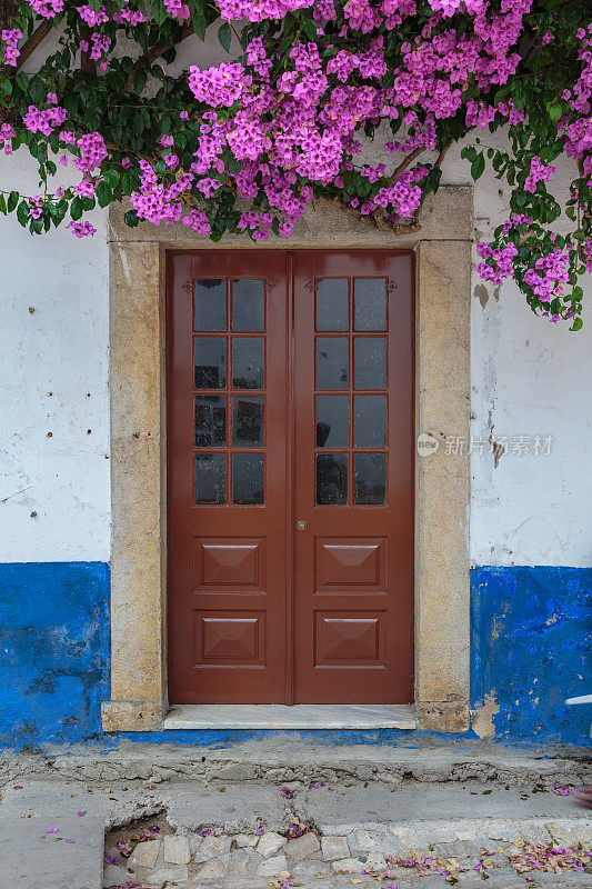 古色古香的葡萄牙建筑:古棕色门附近植被在奥比多斯主街-葡萄牙