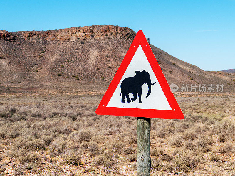 南非大象穿越道路的警告标志