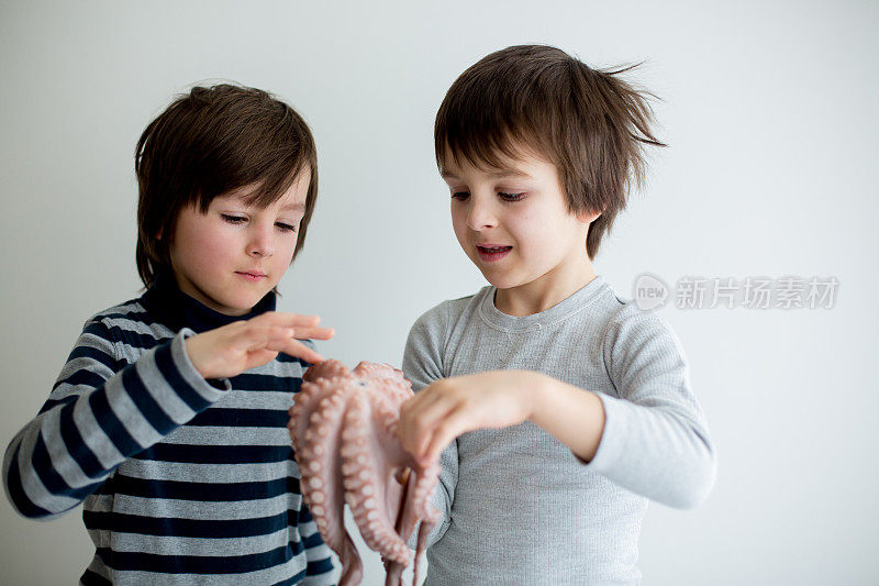可爱的学龄前儿童，男孩兄弟，拿着生章鱼