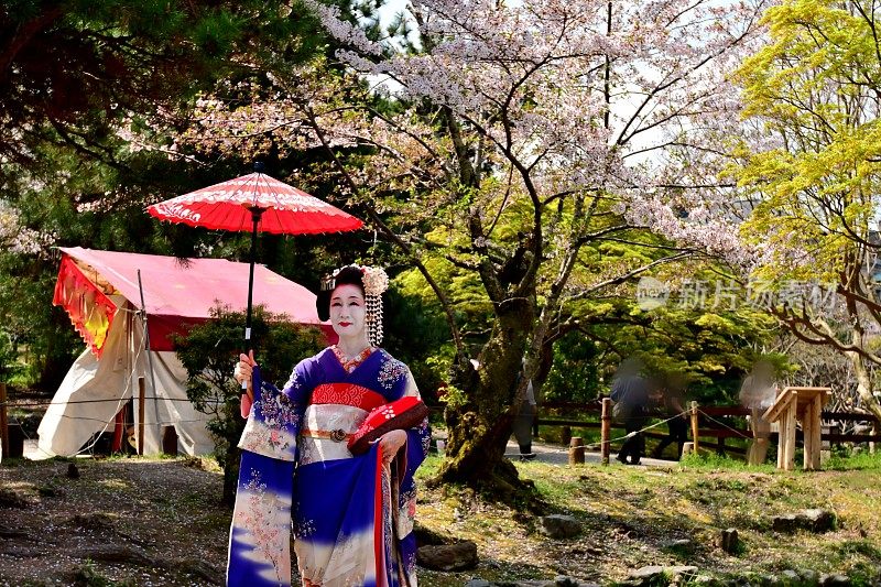 穿着舞子服装的日本女人享受京都的春天