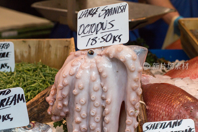 伦敦博罗市场的章鱼