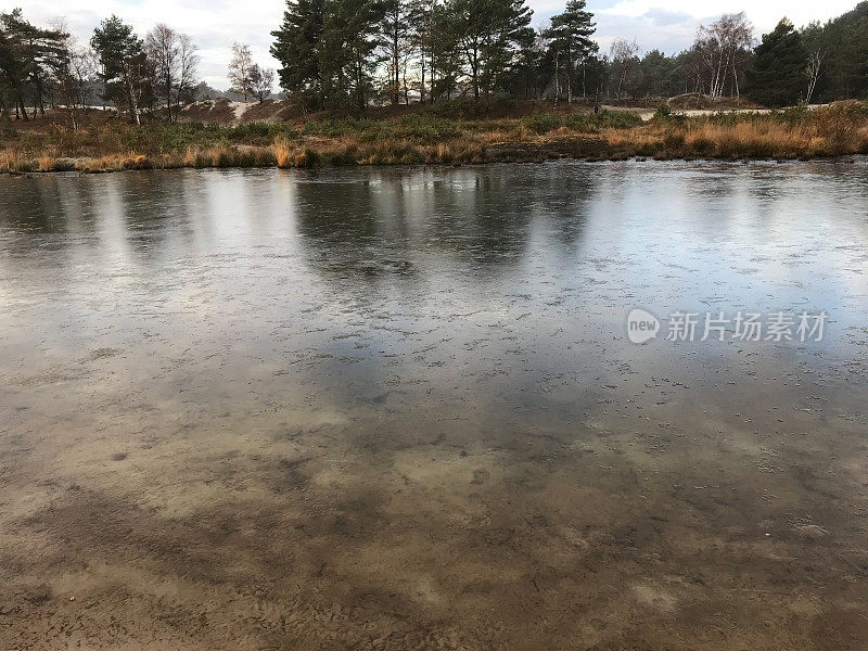 神秘的冬季湿地