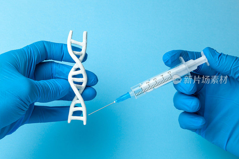 螺旋DNA的研究。对人类生物密码DNA进行遗传实验的概念。科学家拿着DNA螺旋和注射器。