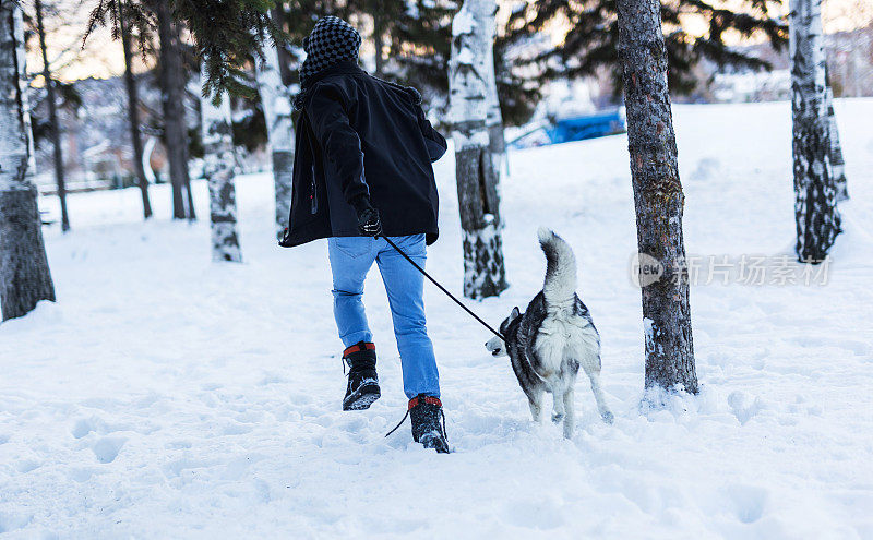 一个男人和西伯利亚哈士奇在雪地上奔跑