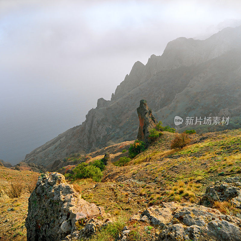 岩石顶部和干燥的树，卡拉达火山，克里米亚海岸，阴沉沉的天空，雾，白色的天空。