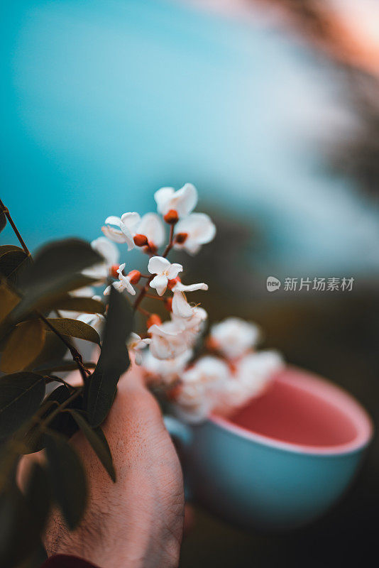 插花茶杯