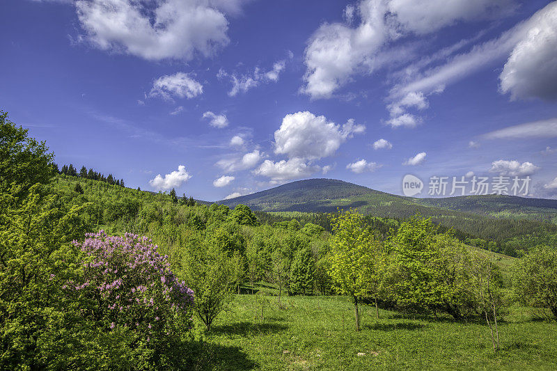 全景山景