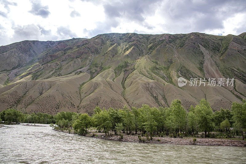 河流在风景如画的群山之间流动。沿着河岸的树木。旅行在吉尔吉斯斯坦