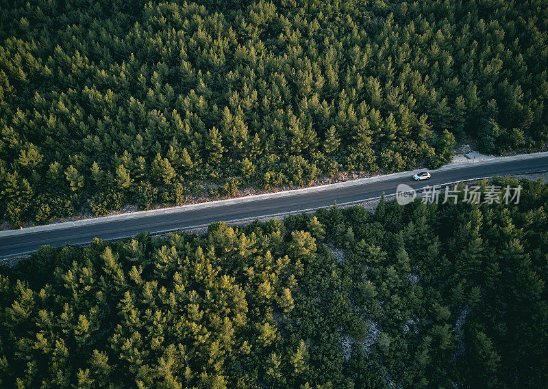 森林中道路的鸟瞰图。Mugla、土耳其