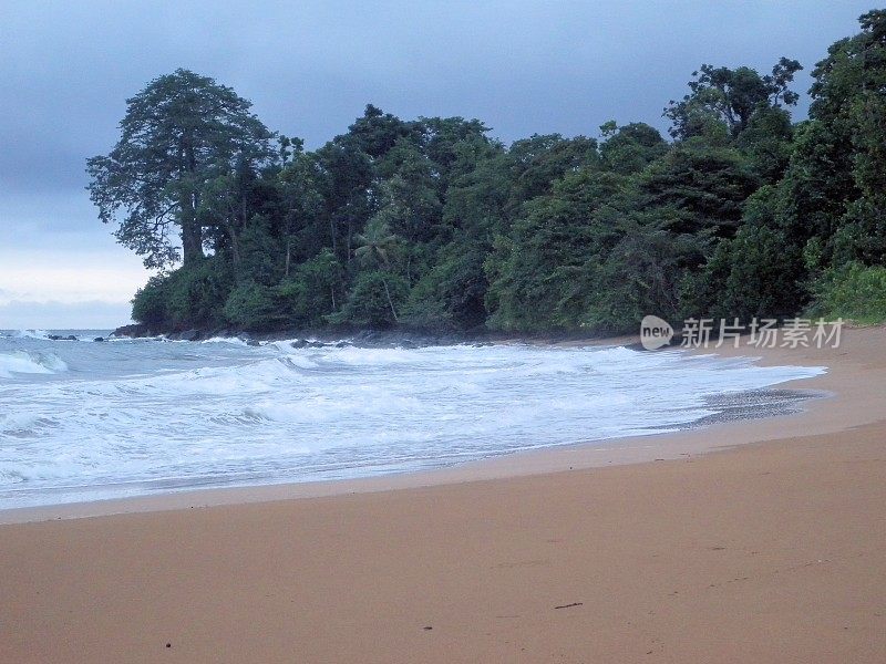 竞技场布兰卡海滩-大西洋旁的木棉树，卢巴，赤道几内亚