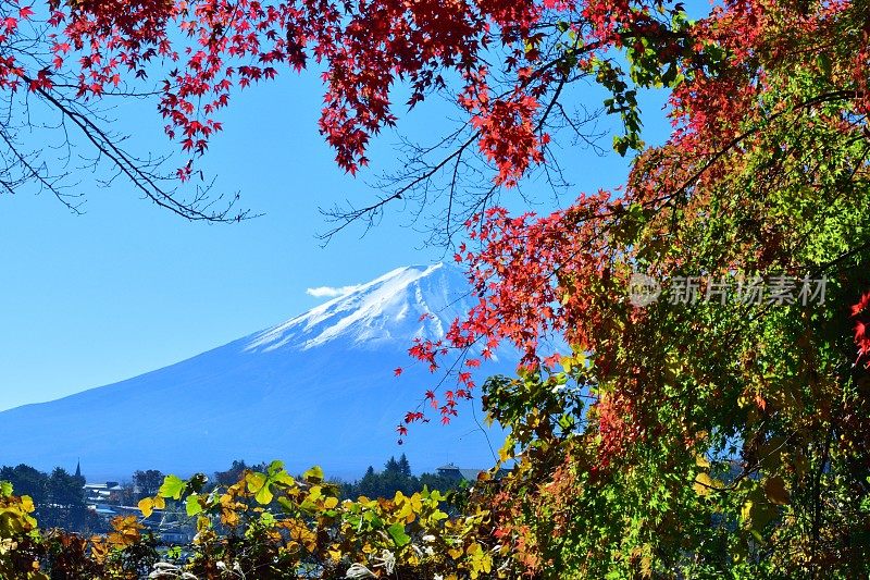 日本富士五湖地区的富士山和秋叶色