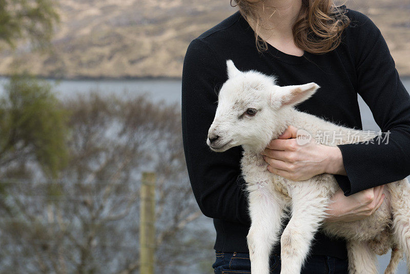 在牧羊场，一个年轻的女人抱着一只小羊羔