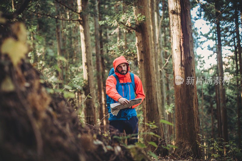 一名男子在日本森林里徒步旅行