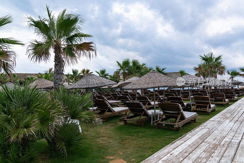 沙滩上的雨伞和棕榈树下的躺椅