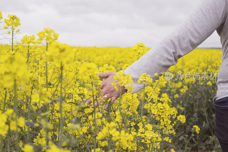 穿过隔离区