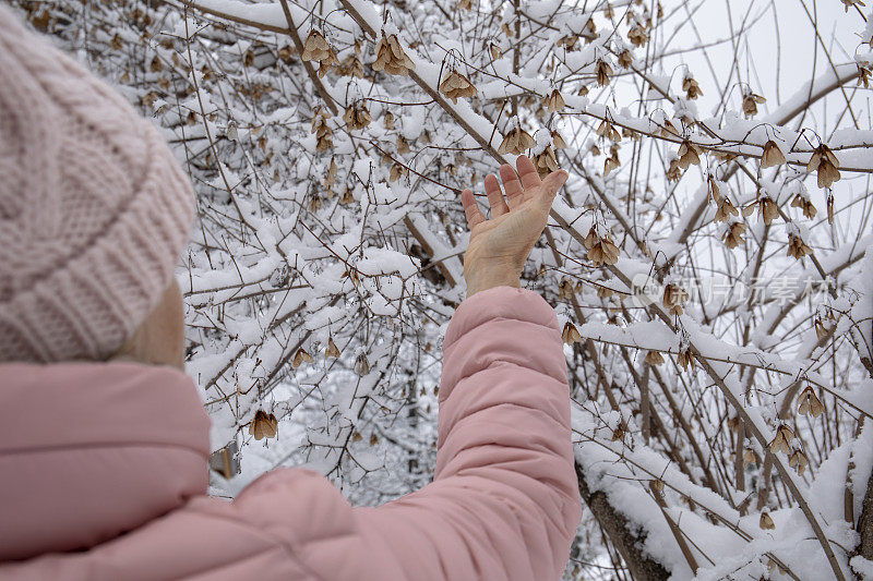 一名女性徒步旅行者站在积雪覆盖的落叶树下