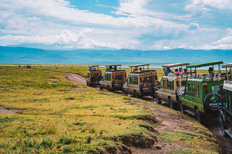狩猎吉普车行驶在恩戈罗戈罗火山口繁忙的土路上，近距离寻找野生动物活动。