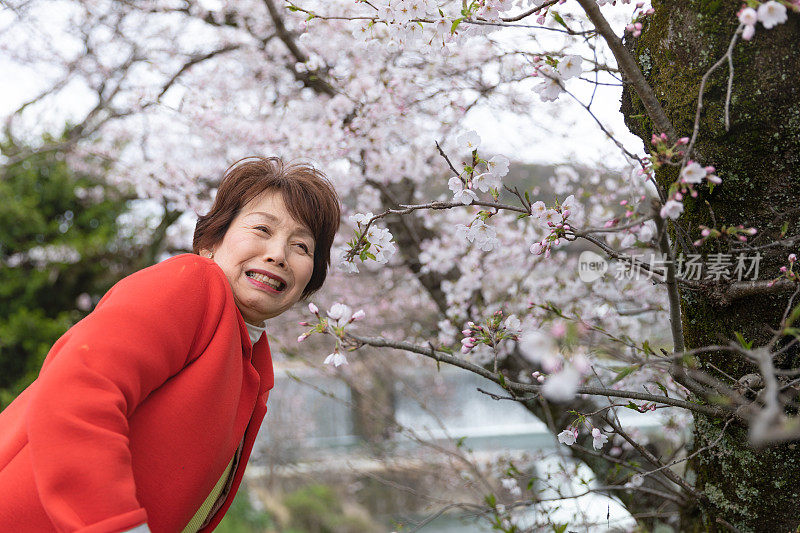 日本女子赏花