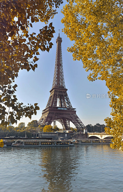 从塞纳河看巴黎埃菲尔铁塔之间的黄色树叶