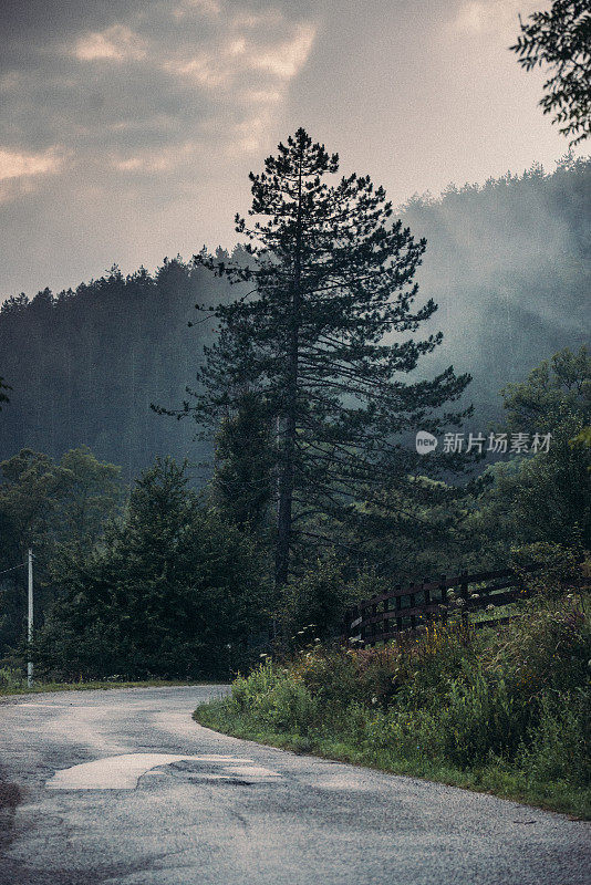 有风的山路