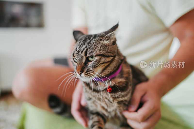 男人在家里和猫玩