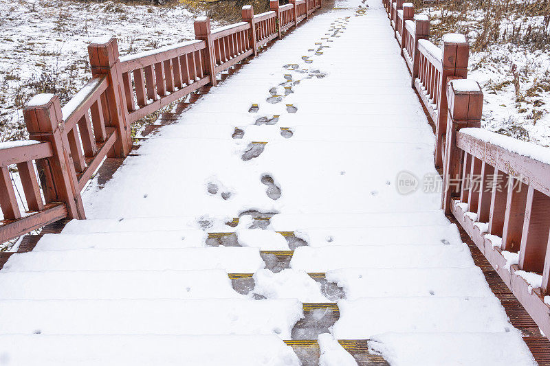 湖边树林里的木质楼梯上覆盖着积雪和脚印