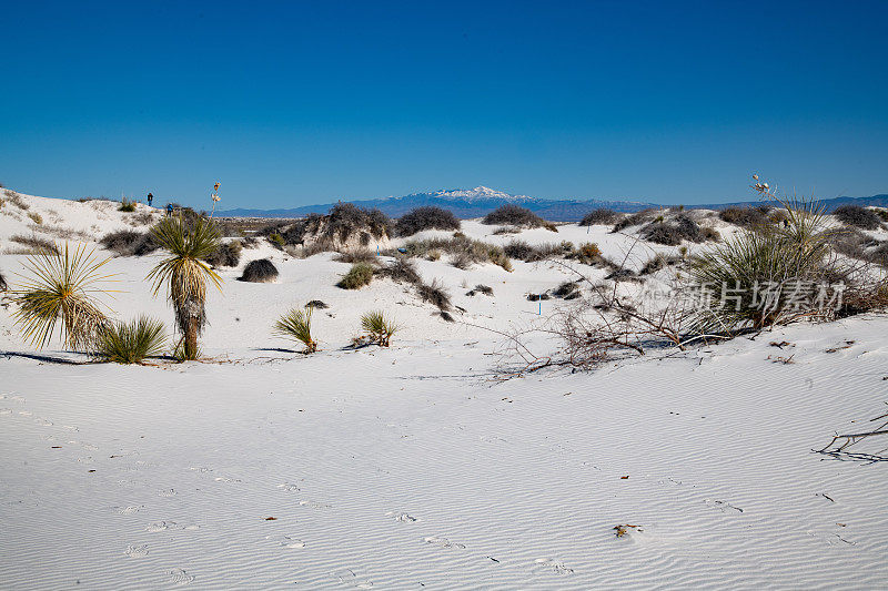 美国新墨西哥州白沙国家公园的沙丘