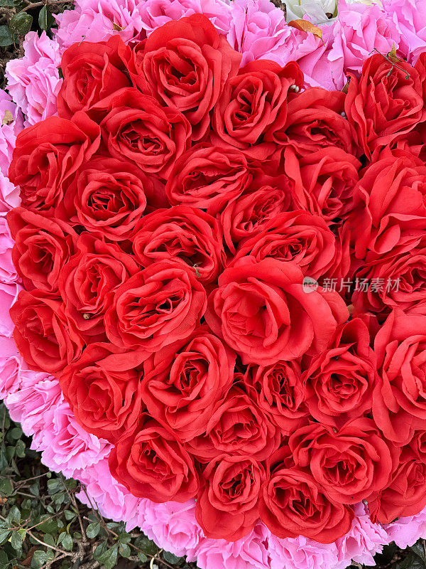 人造红玫瑰心形图案被绿叶包围，浪漫的粉色和红色玫瑰插花，抬高视野