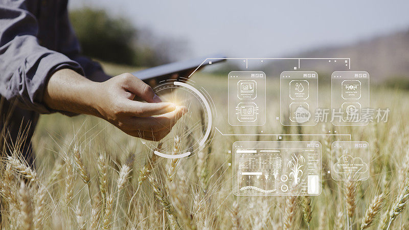农民检查大麦，并利用农业技术通过平板电脑分析数据智能农业和现代技术的概念，象形图标