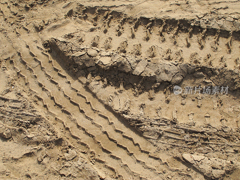 沙地上有汽车的痕迹