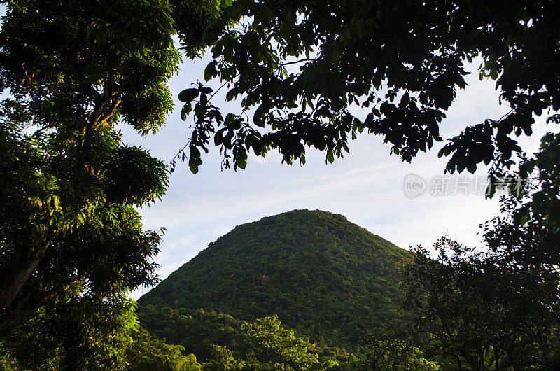 绿树成荫的山峰