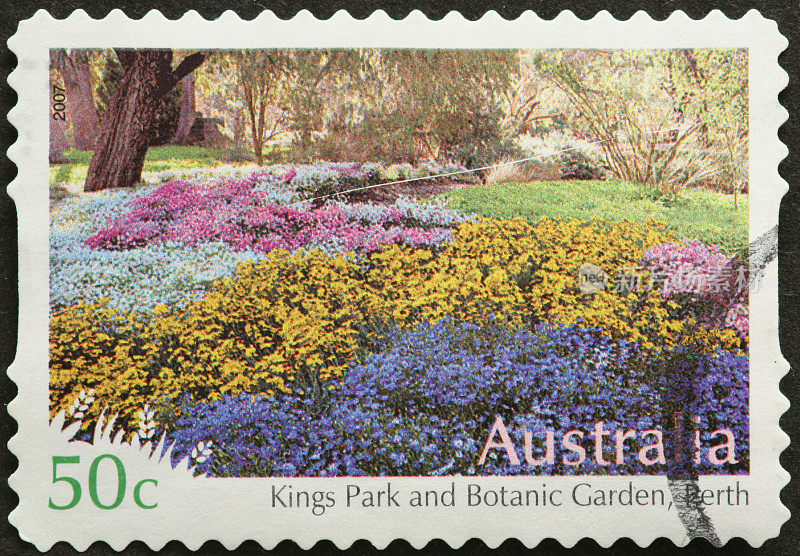 国王公园和植物园，珀斯，澳大利亚
